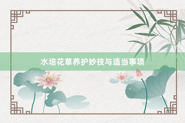 水培花草养护妙技与适当事项