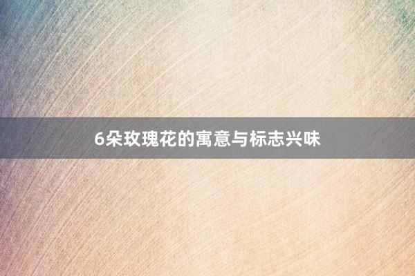 6朵玫瑰花的寓意与标志兴味