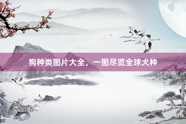 狗种类图片大全，一图尽览全球犬种