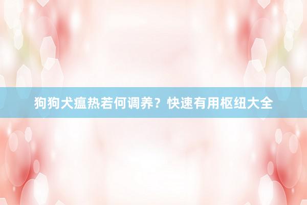 狗狗犬瘟热若何调养?快速有用枢纽大全