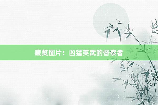 藏獒图片：凶猛英武的督察者