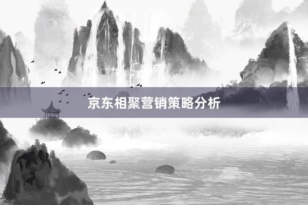 京东相聚营销策略分析