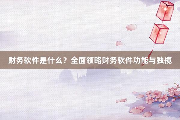 财务软件是什么？全面领略财务软件功能与独揽